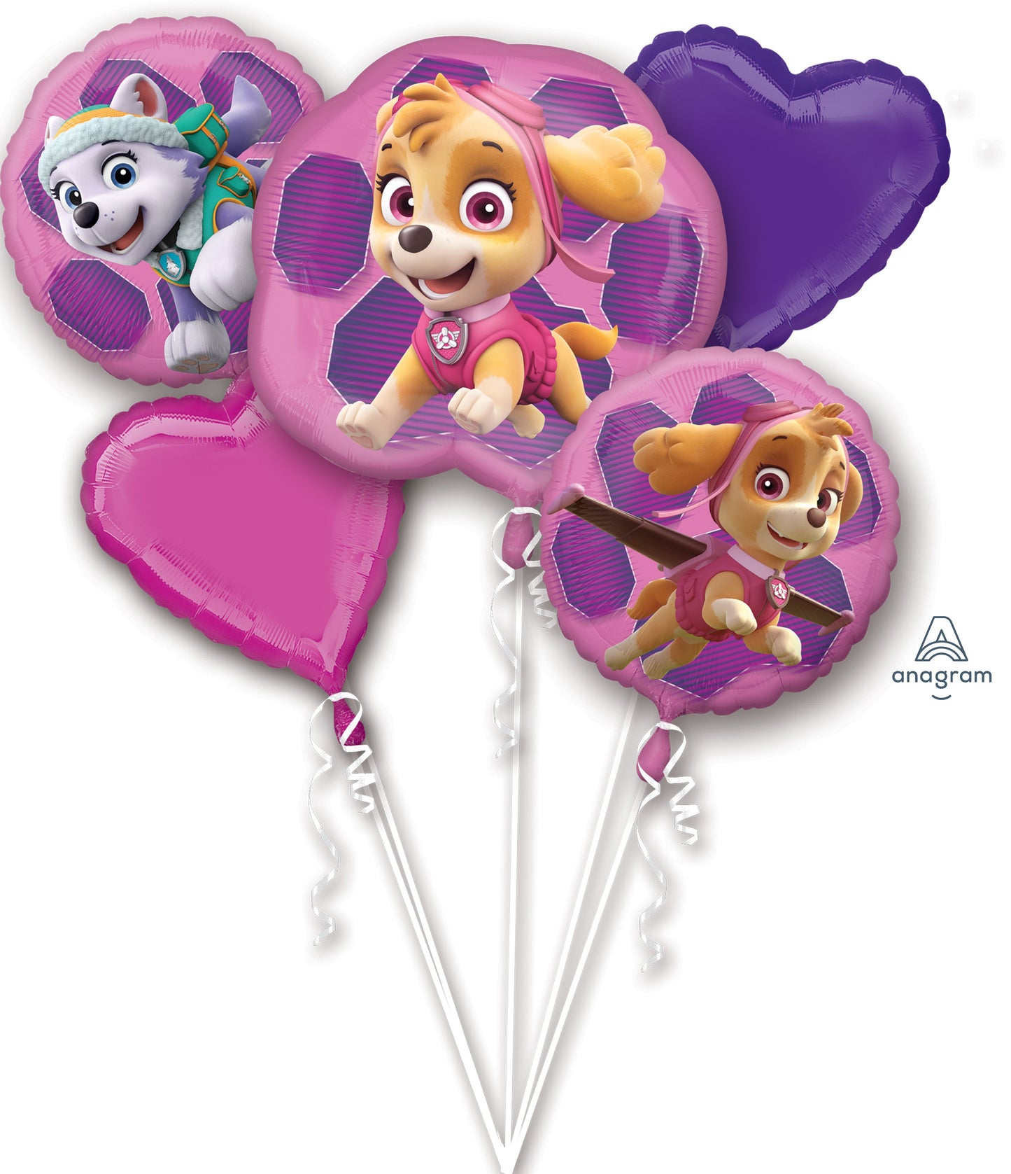 Helium Filled Paw Patrol Sky Bouquet